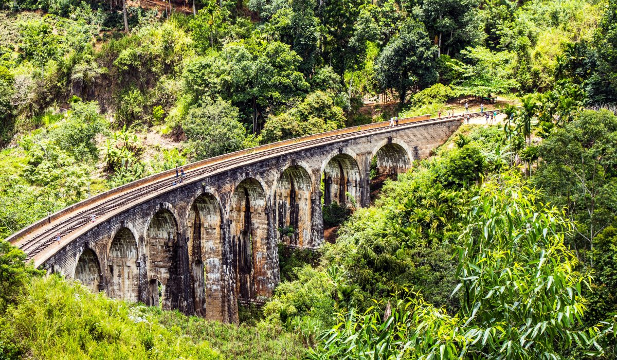 Days 9–11 – Nuwara Eliya → Ella → Yala