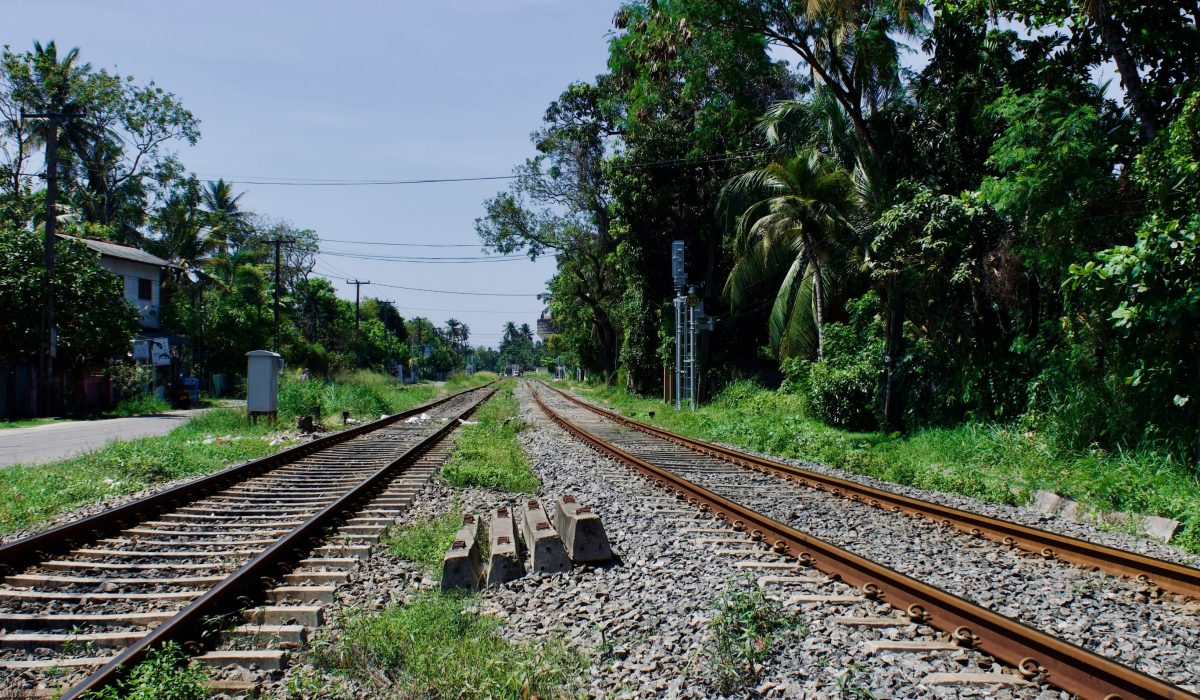 Day 12 – Negombo → Airport