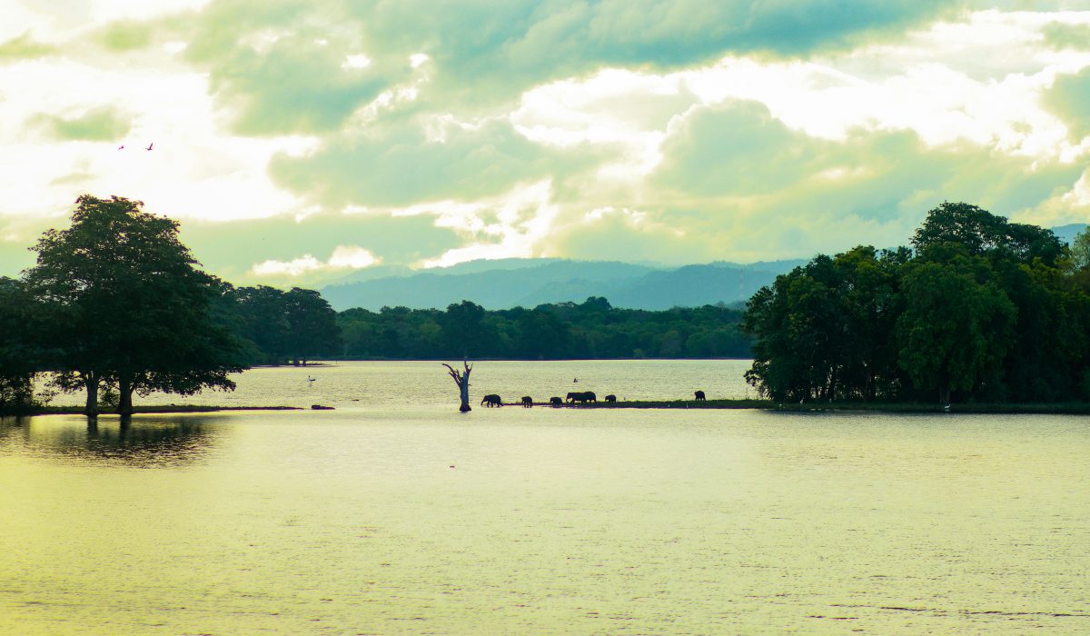 Day 09 – Arugam Bay – Udawalawa