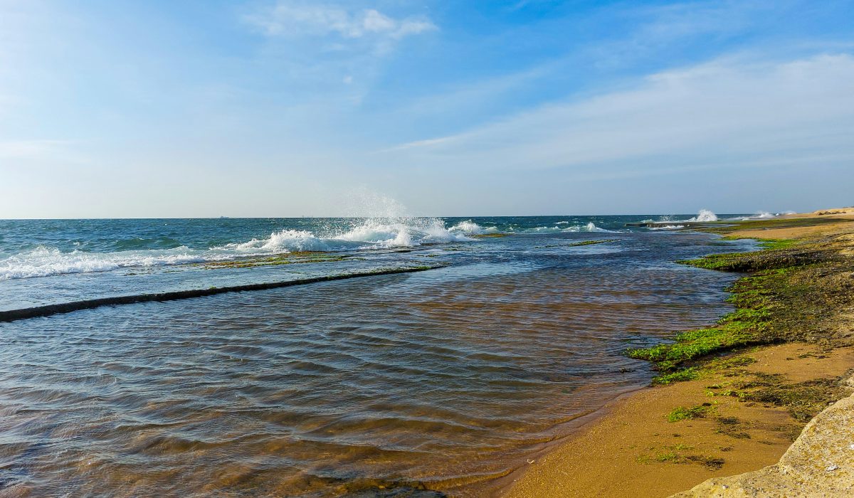 Day -1 Airport – Negombo