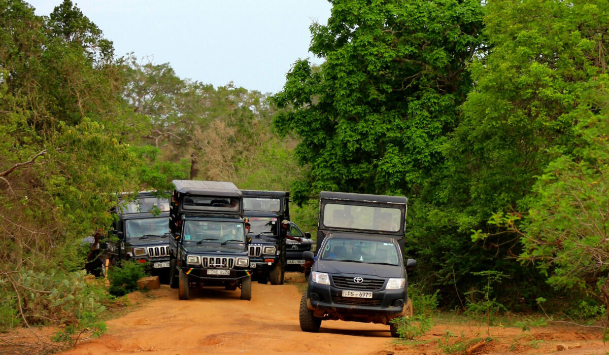 Day 4 – Hikkaduwa → Yala