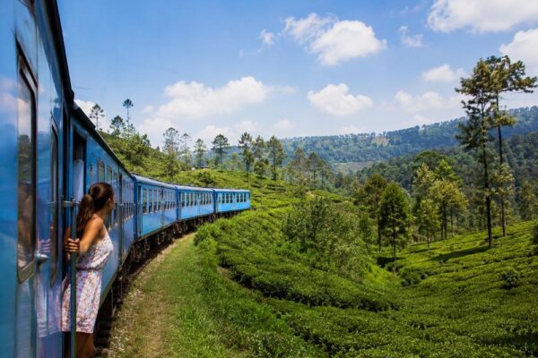 Best time to visit Sri Lanka to escape NZ winter
