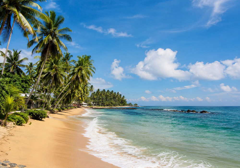 Sri Lanka itinerary from New Zealand